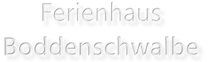 Ferienhaus Boddenschwalbe